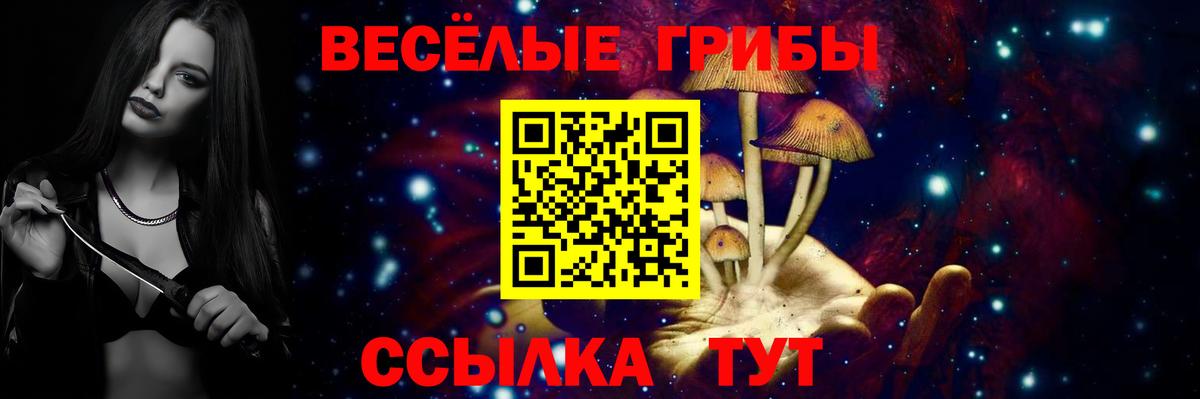 Галлюциногенные грибы ЛСД  Вход с VPN  Россошь 